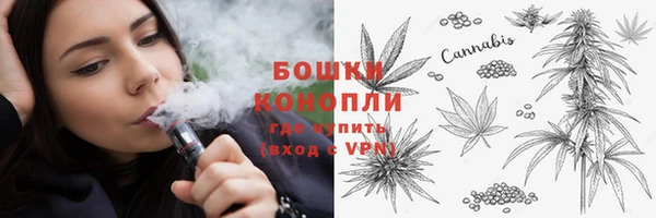 крисы Тобольск