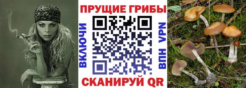 blacksprut ONION  Орёл  Псилоцибиновые грибы MAGIC MUSHROOMS 